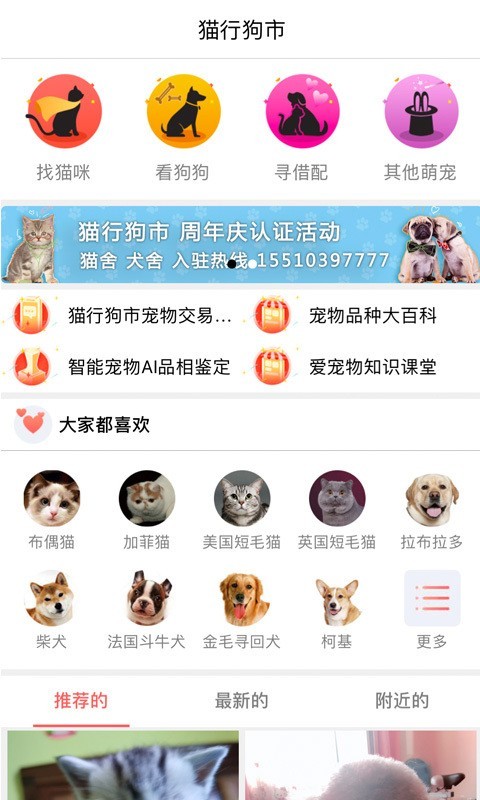 猫行狗市 截图2