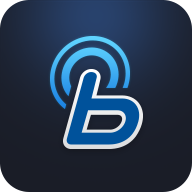 blueLink汽车app