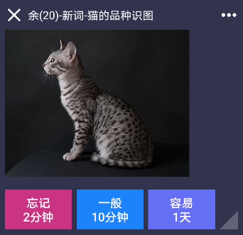 碎片记忆app 截图1