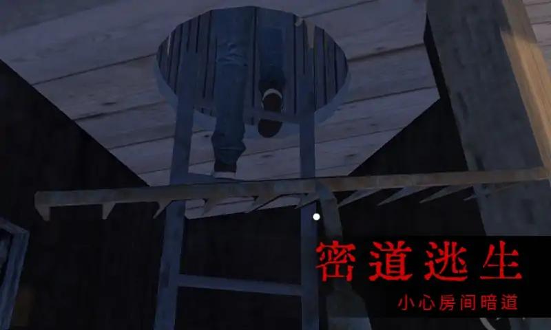 恐怖屋的爷爷奶奶 截图1