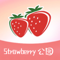 草莓公园app