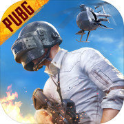 地铁逃生pubg手游  v2.4.0