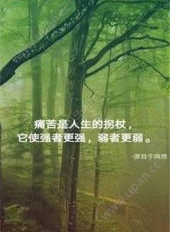 番茄语录 截图2