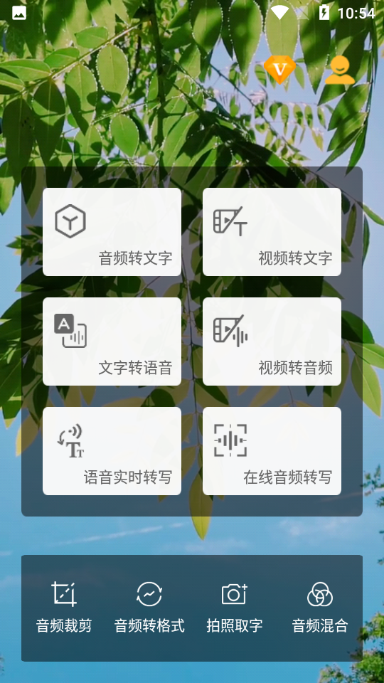 音频转文字助手app