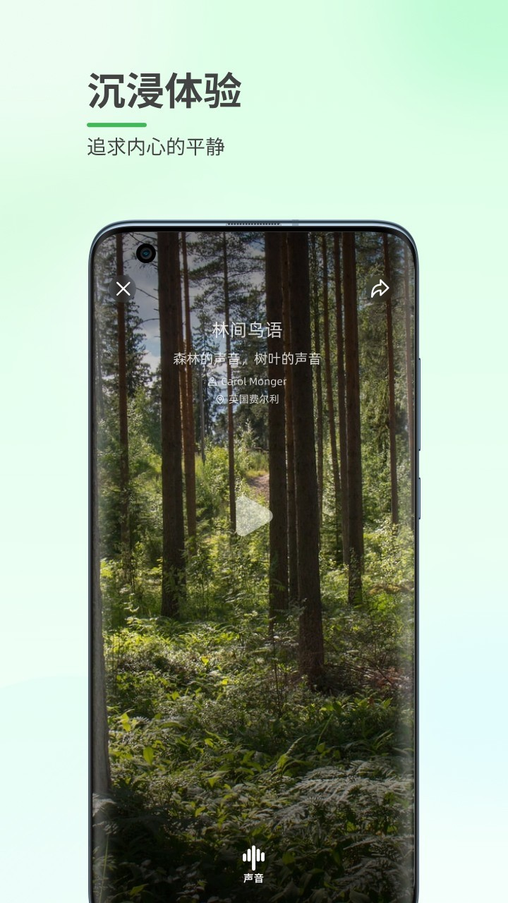 森林白噪音app 1.0.1 截图3