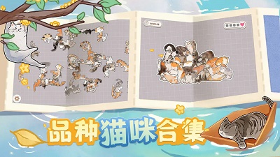 挤在一起的猫猫正版 截图1