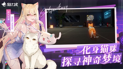 猫之城渠道服 截图5