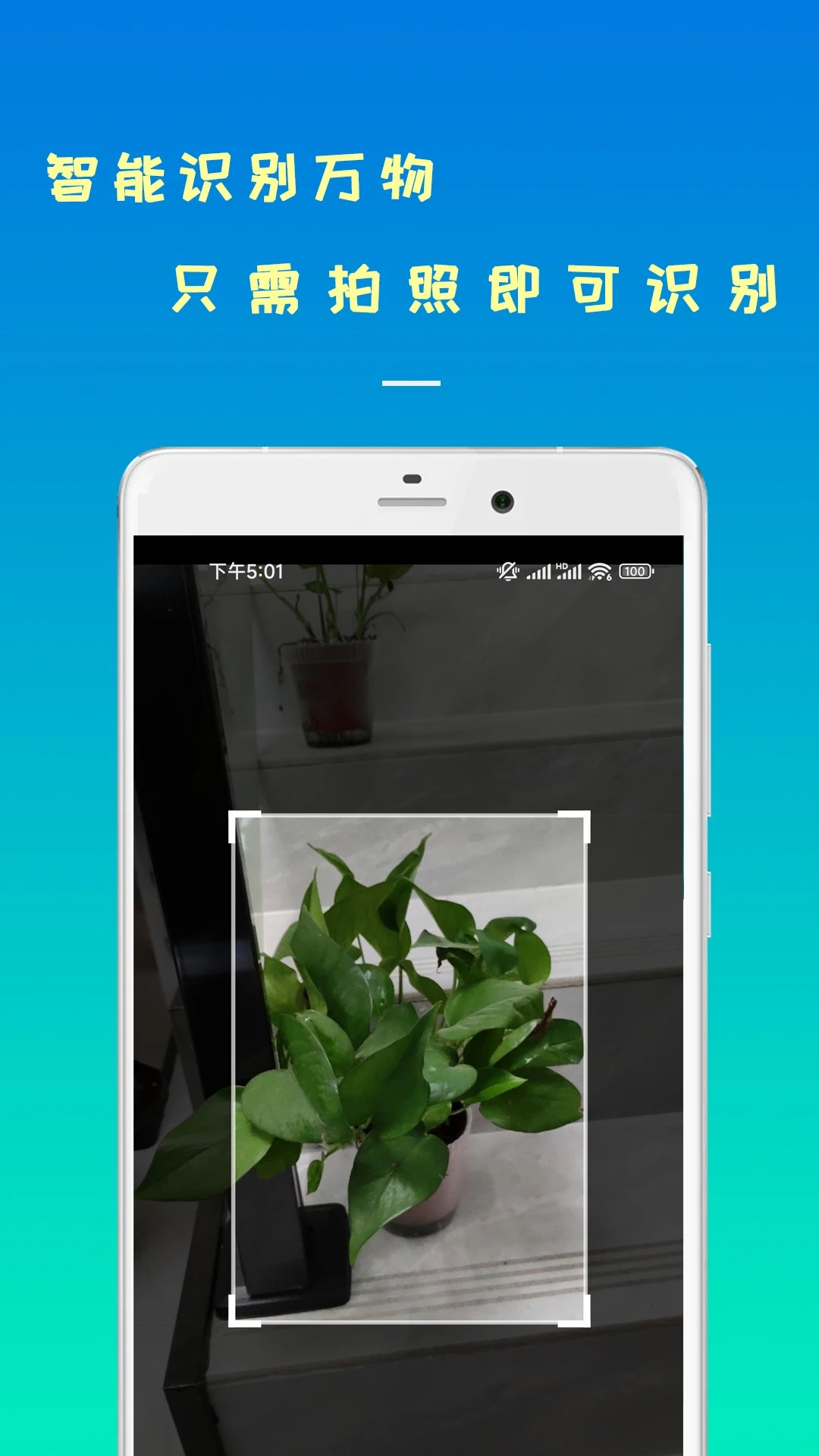 智能识物官方下载