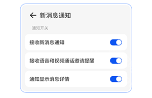 防撤回消息黑盒软件 截图1