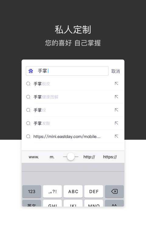 绿叶浏览器 截图3
