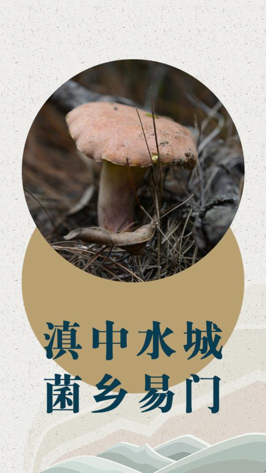 菌乡易门app 截图3