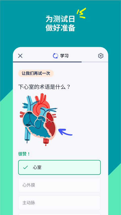 quizlet最新中文版 截图3