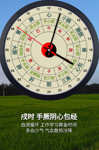 小猴经络时钟 v1.3.3 1