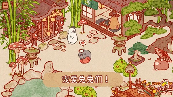 兔兔岛安卓版 截图5