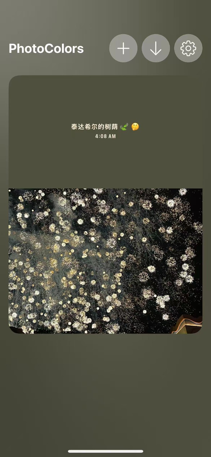 PhotoColors 截图5