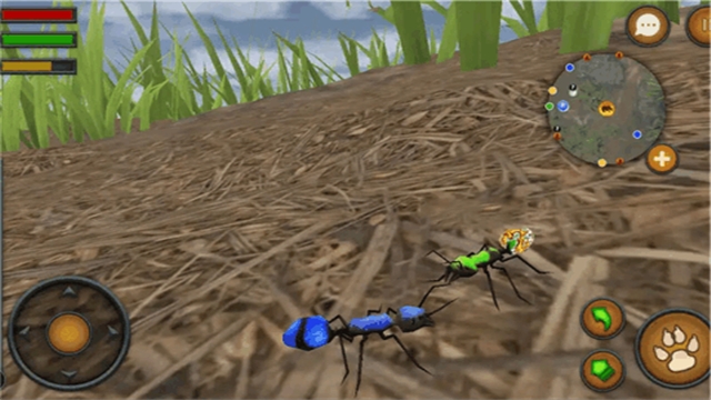 蚂蚁模拟器地下蚁国2 截图2