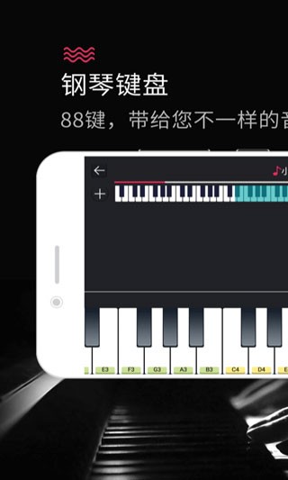 模拟钢琴2025 截图2