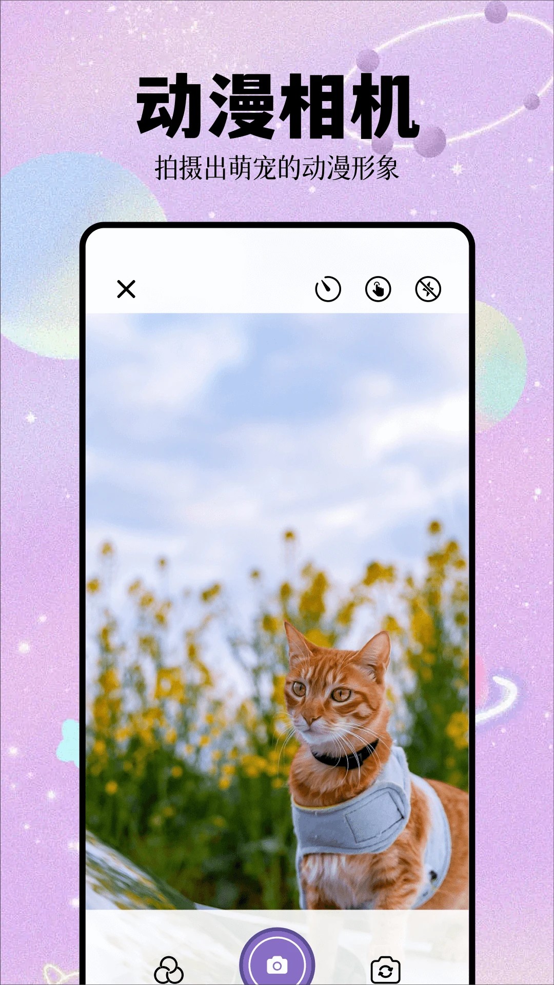 次元城官方最新版
