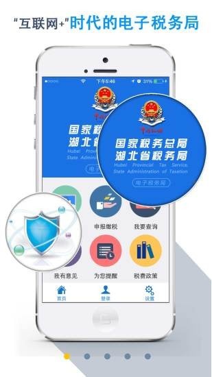 湖北税务APP 截图1