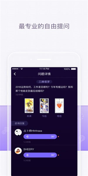 塔罗猫 截图3