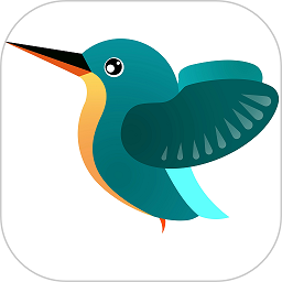 kingfisher摄像头手机版