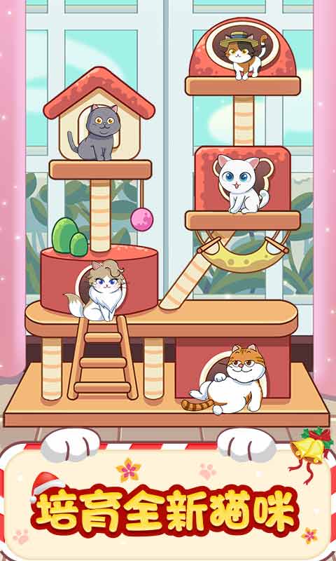 猫咪房东免费版 截图1