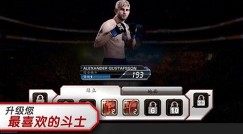 ufc格斗游戏 截图1