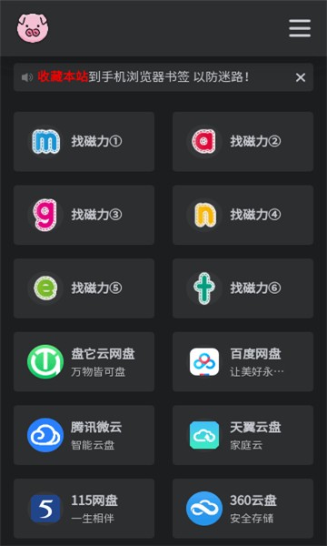 bt磁力猪搜索引擎 截图4