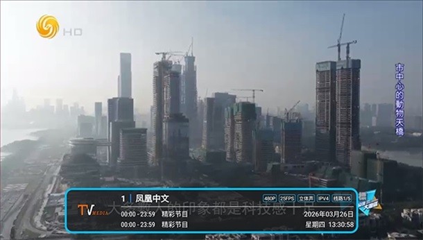 低调TV安卓下载 截图2