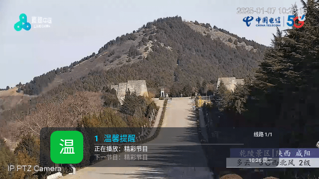 天才影视在线看 截图4