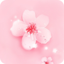 桃花直播视频  v1.2