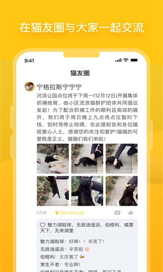 哈啰街猫2026 截图1