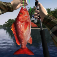 钓鱼大师3D最新版  v1.0
