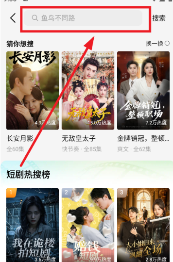 趣看鹅最新版 截图11