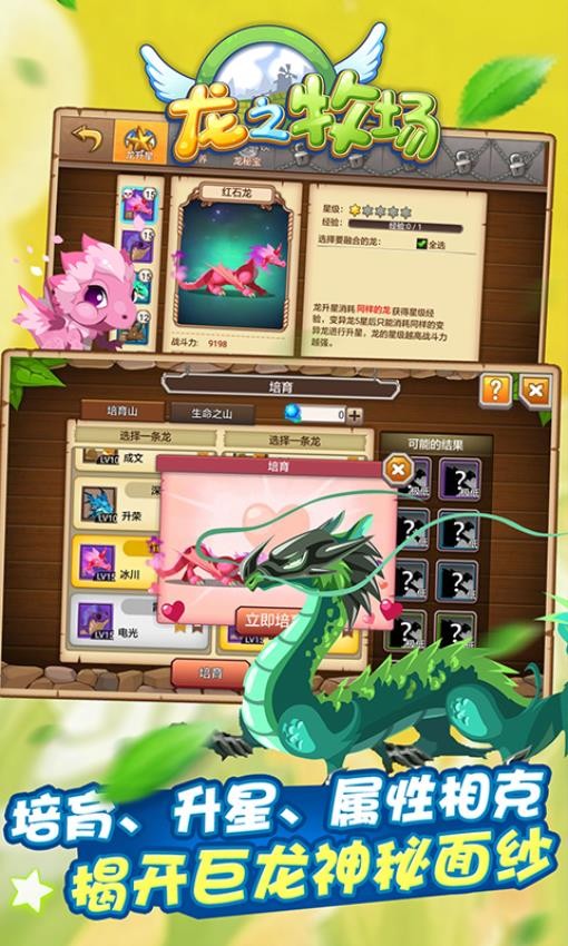 育龙高手官方正版 截图5