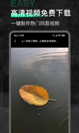 今日素材app 截图1