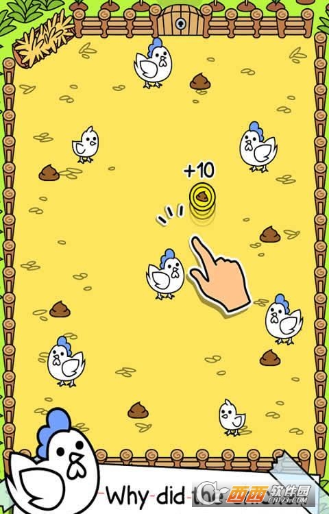 小鸡的进化游戏