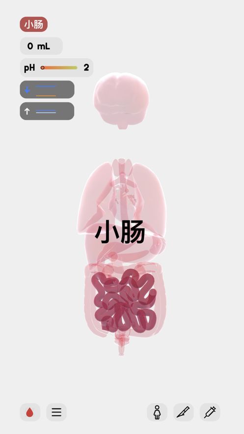 生命LIFE 截图3