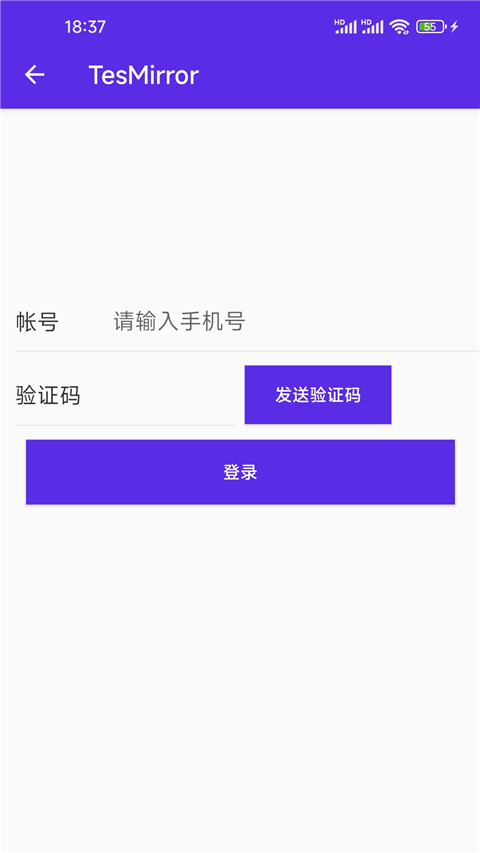 TesmirrorApp投屏软件
