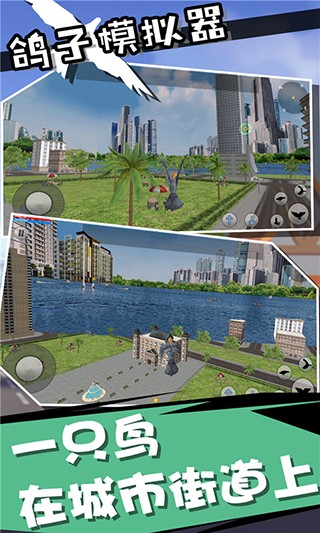 鸽子模拟器最新版 截图2