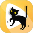 波斯猫影视  v1.1