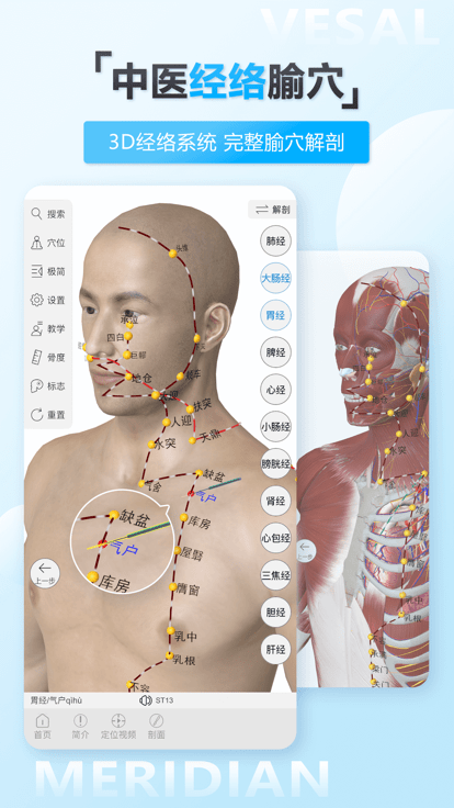 维萨里3d解剖app最新版 截图3