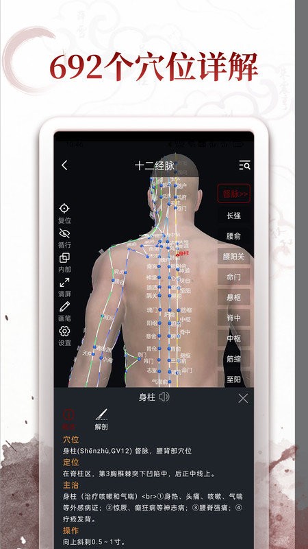 中医经络穴位 截图2