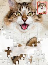 猫和老鼠拼图游戏 截图2