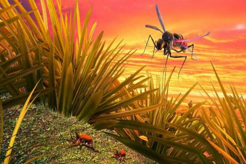 蚊子模拟器3D版 截图3