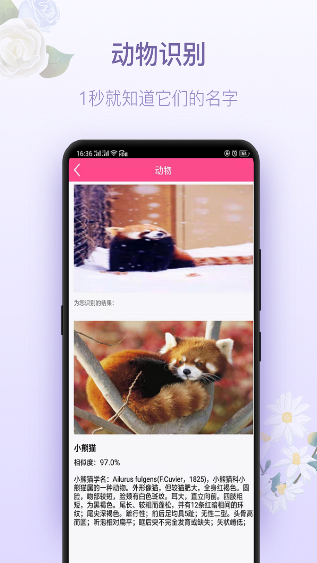 拍照识花神器app 截图2