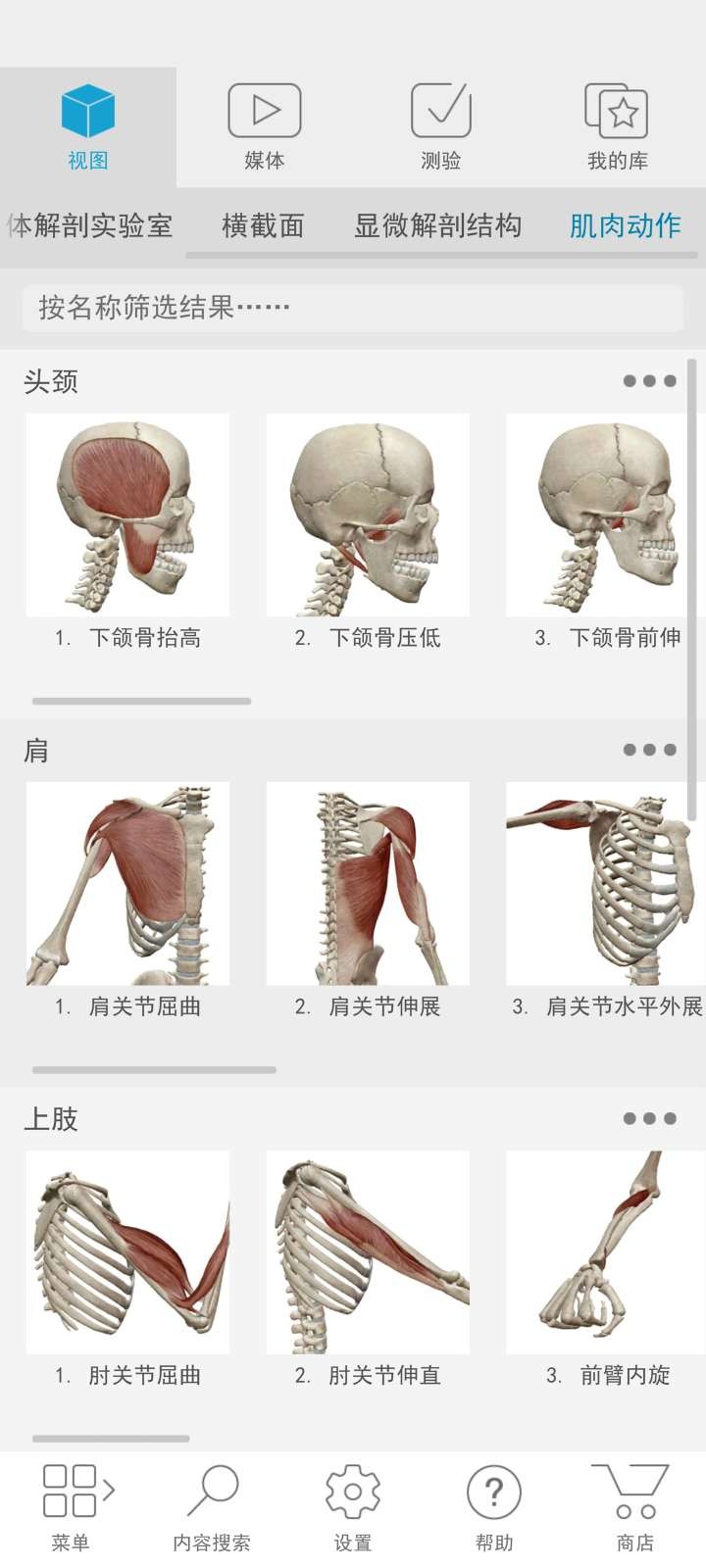 Atlas人体解剖学图谱 截图2