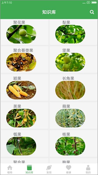 植物百科 截图1