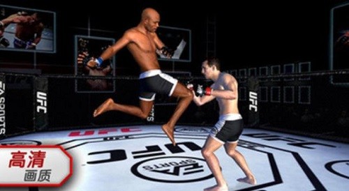 ufc格斗游戏 截图3