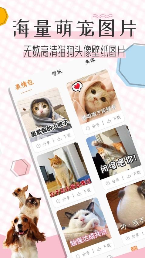 猫语翻译宝2025 截图5